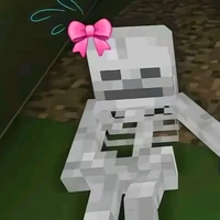 Skeleton ( Skelly )