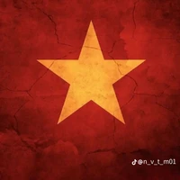 Cân mọi NVP