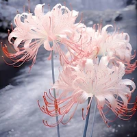 lớp 11B2 trừ ai thì trừ