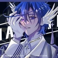 North Atlantic Treaty Organization /NATO