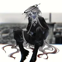 North Atlantic Treaty Organization(NATO)