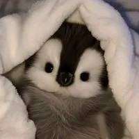 hệ thống 99 ( Riko)