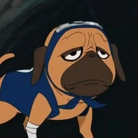 Pakkun