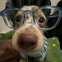 hệ thống giúp "Yêu Vợ" =))