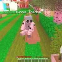 Yummie Tha Hóa | GT ST