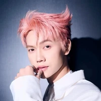 Nguyễn Thái Sơn - jsol( đầu hồng)