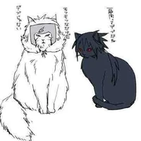 hắc bạch vô thường