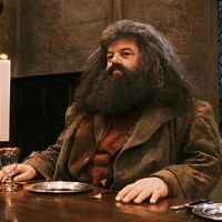 Rubeus Hagrid