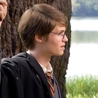 James Potter