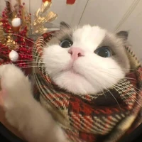 ~tuni~