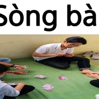 cả đám bạn
