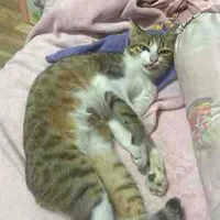 All( trừ ai thì trừ)