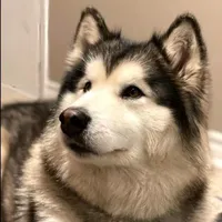 Tiểu Nho (Lan Ngọc)