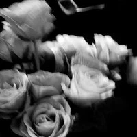 all các anh-trừ ai thì trừ