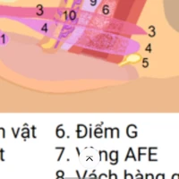 điểm G