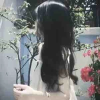 Hydrangea[ Cẩm Tú cầu]