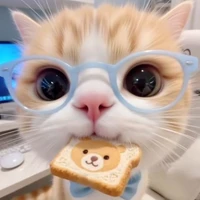 Tác giả cuteee