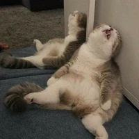 tg đây!