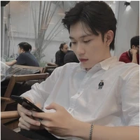 dương domic