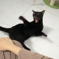 青い壁 ™