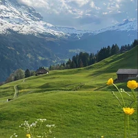 TG này ko được ổn