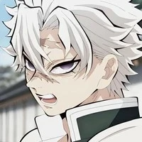 Shinazugawa Sanemi