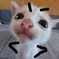 mn (trừ ai cần trừ)