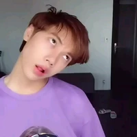 thái sơn
