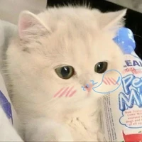 Tôi là ngi đẹp trai nhất làng này kkk