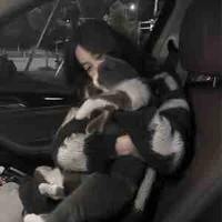 Tưởng Khinh Vân [Chị]