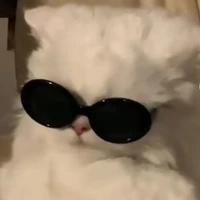 con t/g bị flop truyện :))