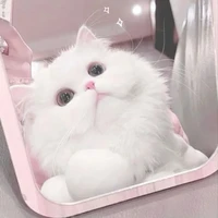 Bột