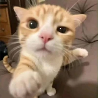 Tác Giả