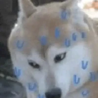 tg