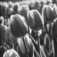 𝙎𝙥𝙡𝙞𝙯𝙯