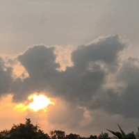 cả 3 người họ(-ai đó)