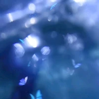 Tác giả huyền thoại