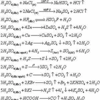 Mọi người (-ai thì-)