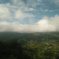 đa nhân vật