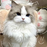 Maru