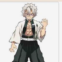 Shinazugawa Sanemi
