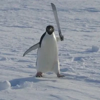 t/g bị khùng 😏🥰