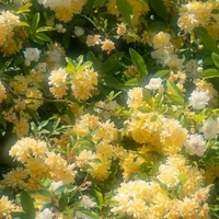 all (trừ ai thì trừ)
