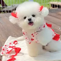 bé chó đáng yêu