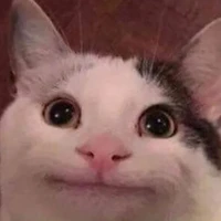 mn ở đó