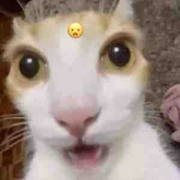 Cô Giáo