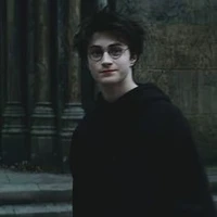 Harry James Potter
