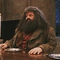 Rubeus Hagrid