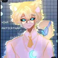 Hiha anti catnap