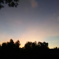 MN